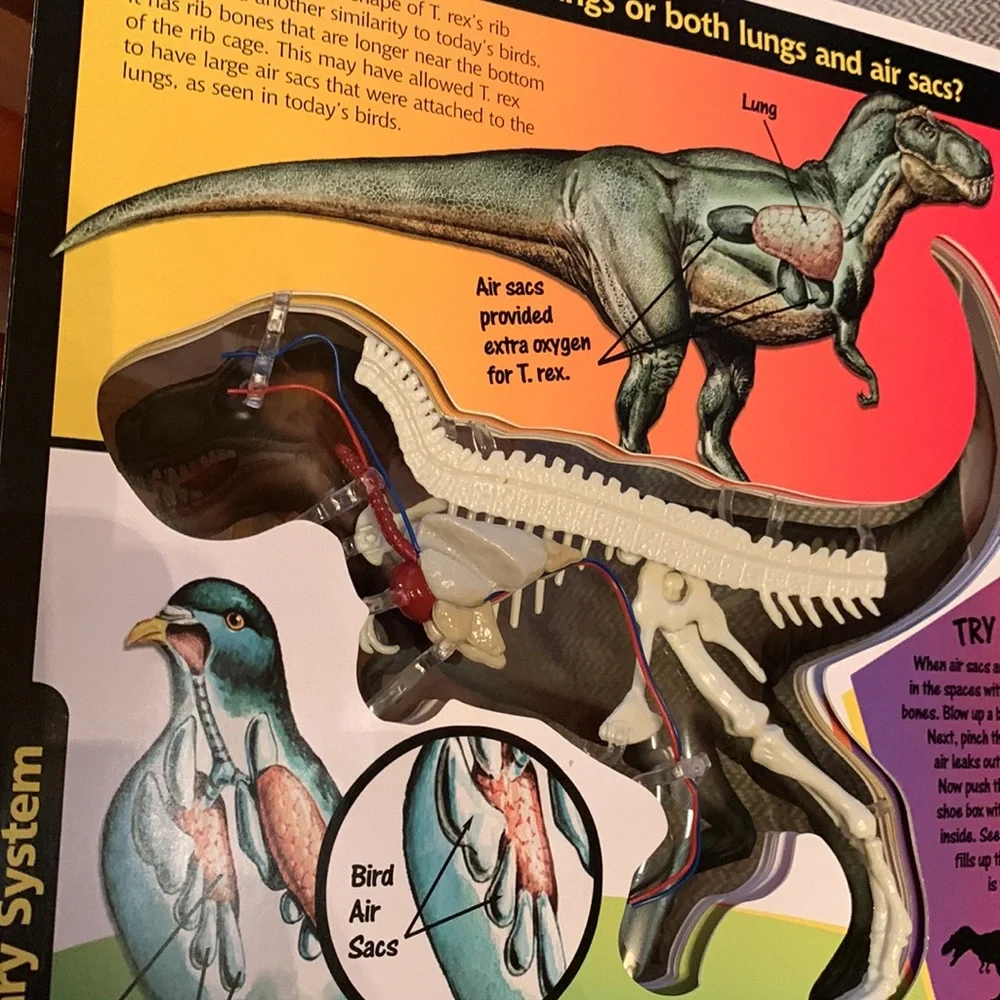 Uncover a T. Rex book 3D model dinosaur Dino anatomy facts learning ages 8+ VGUC